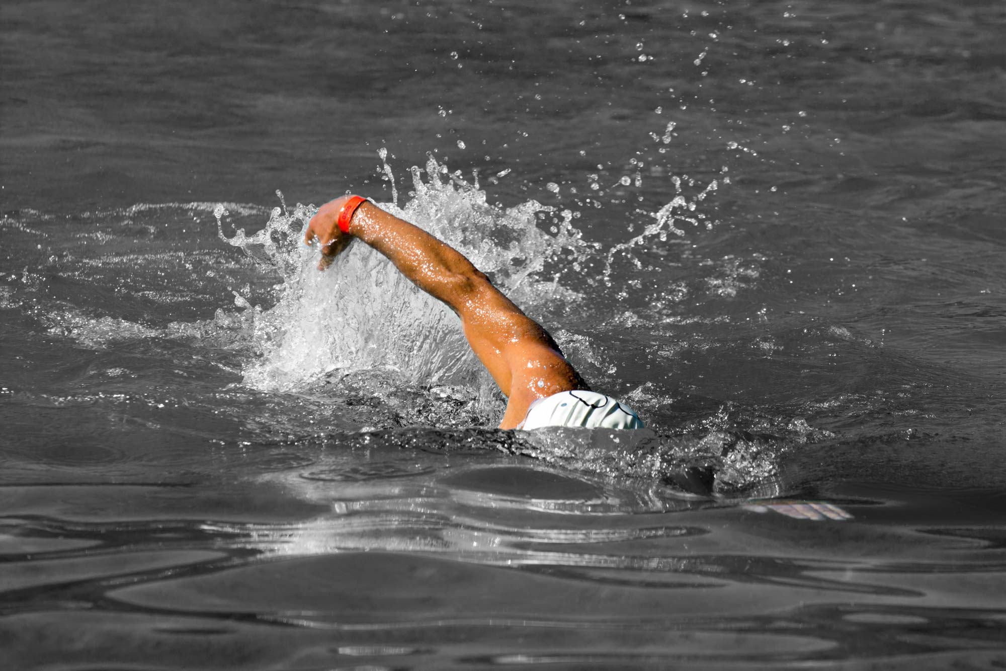 natation-lac-annecy